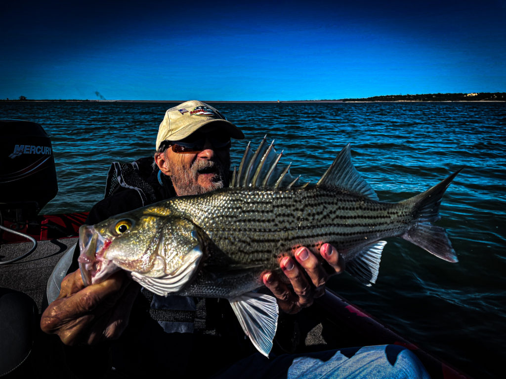 Hybrid Striper Fishing