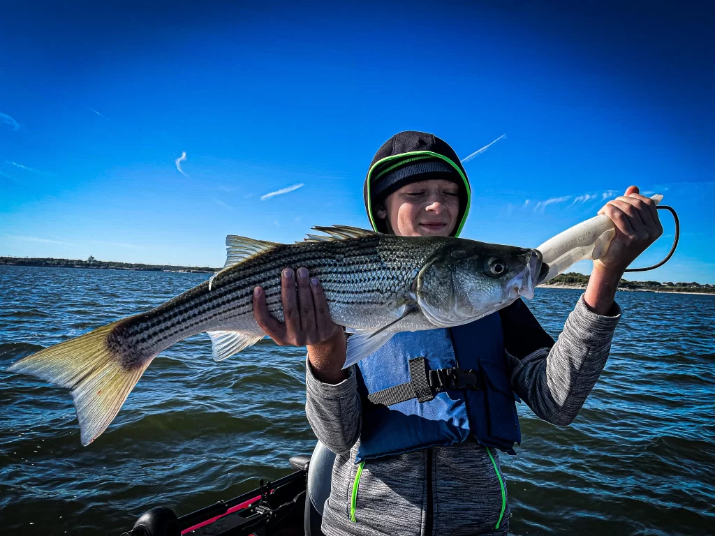 Striper Fishing