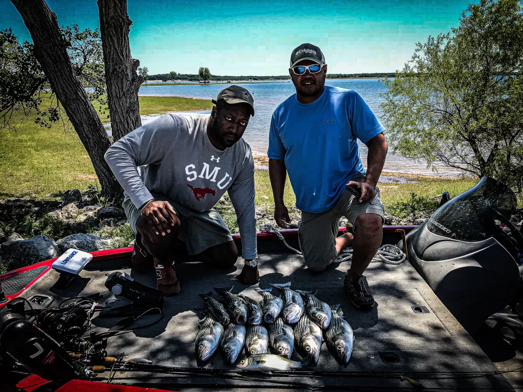 Striper Fishing 