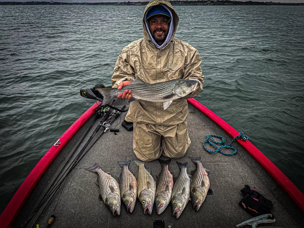 Striper Fishing