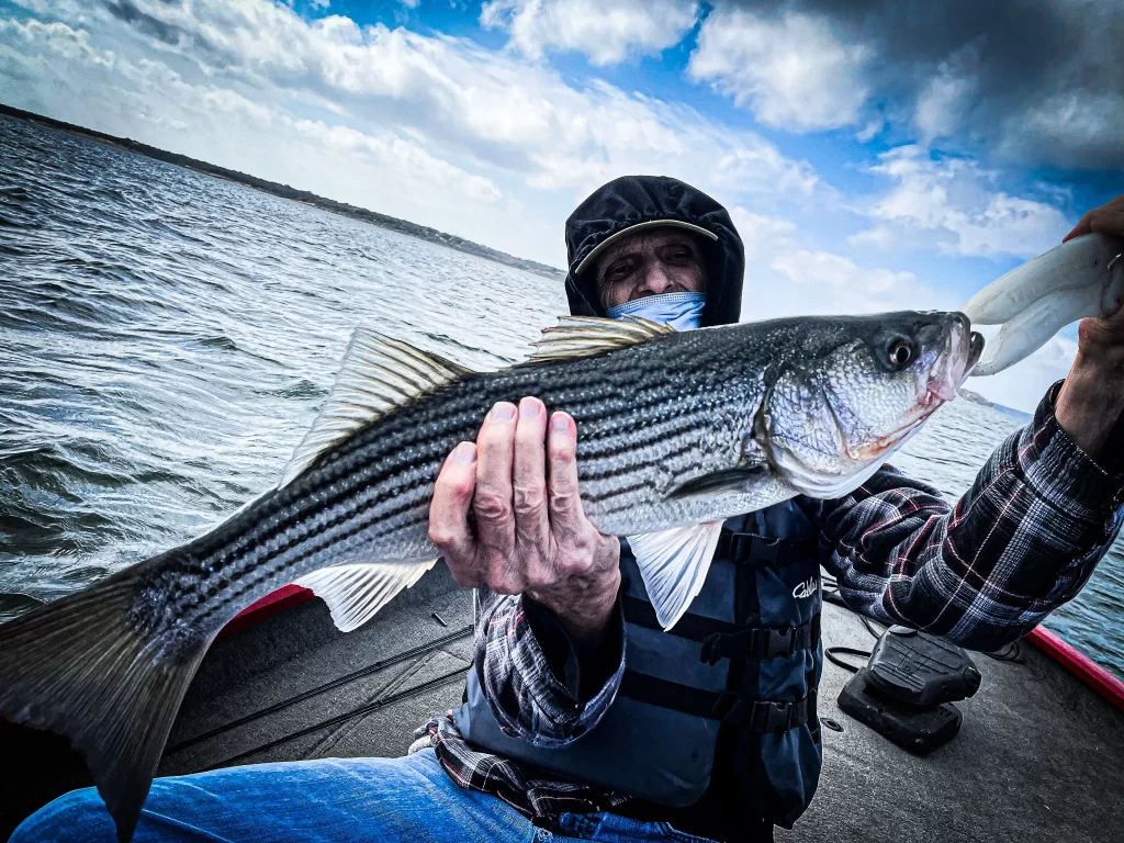 Striper Fishing