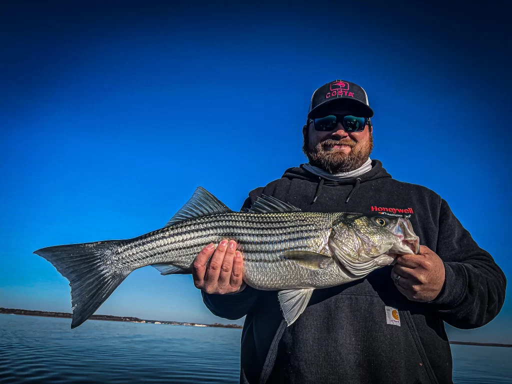 Striper Fishing