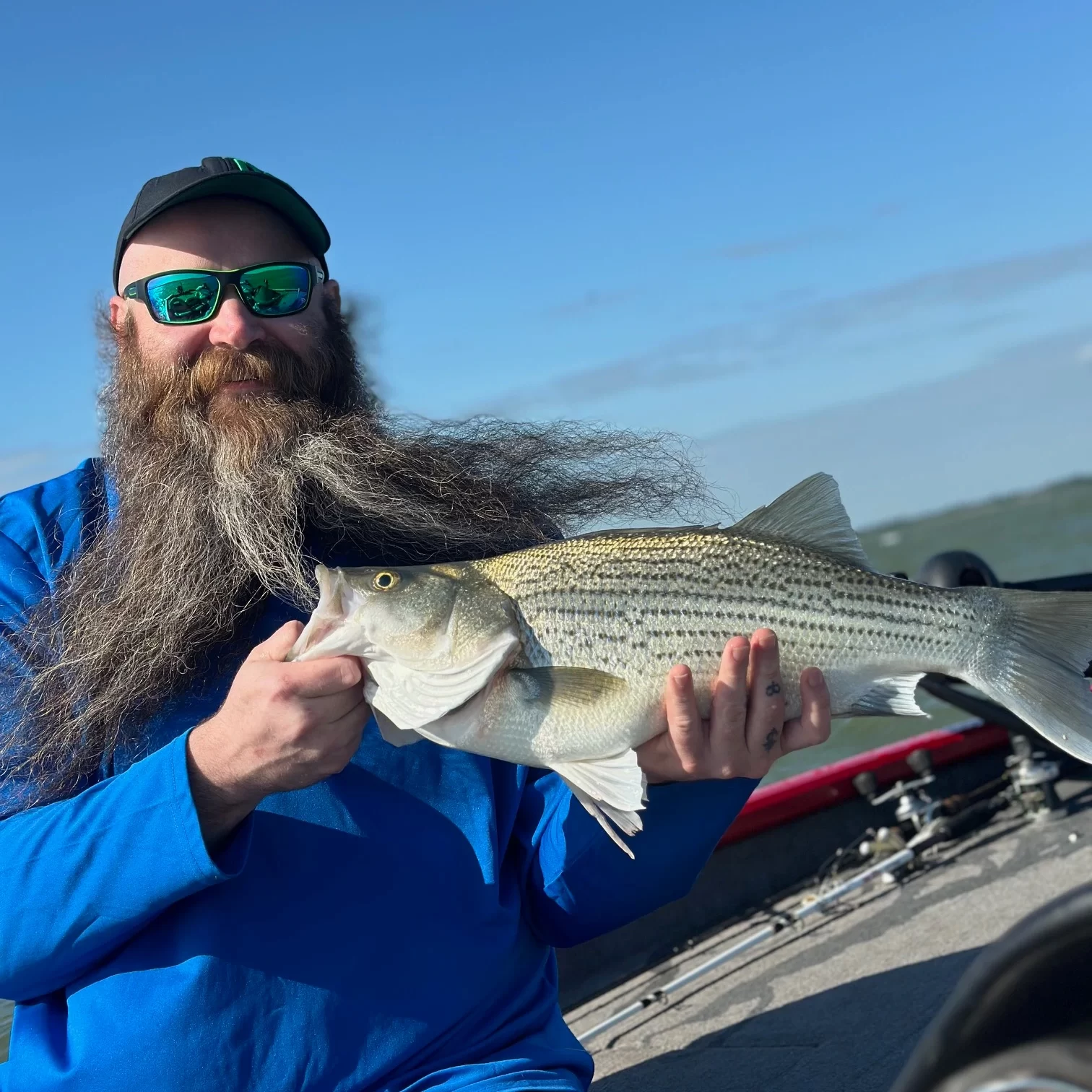 Hybrid Striper Fishing